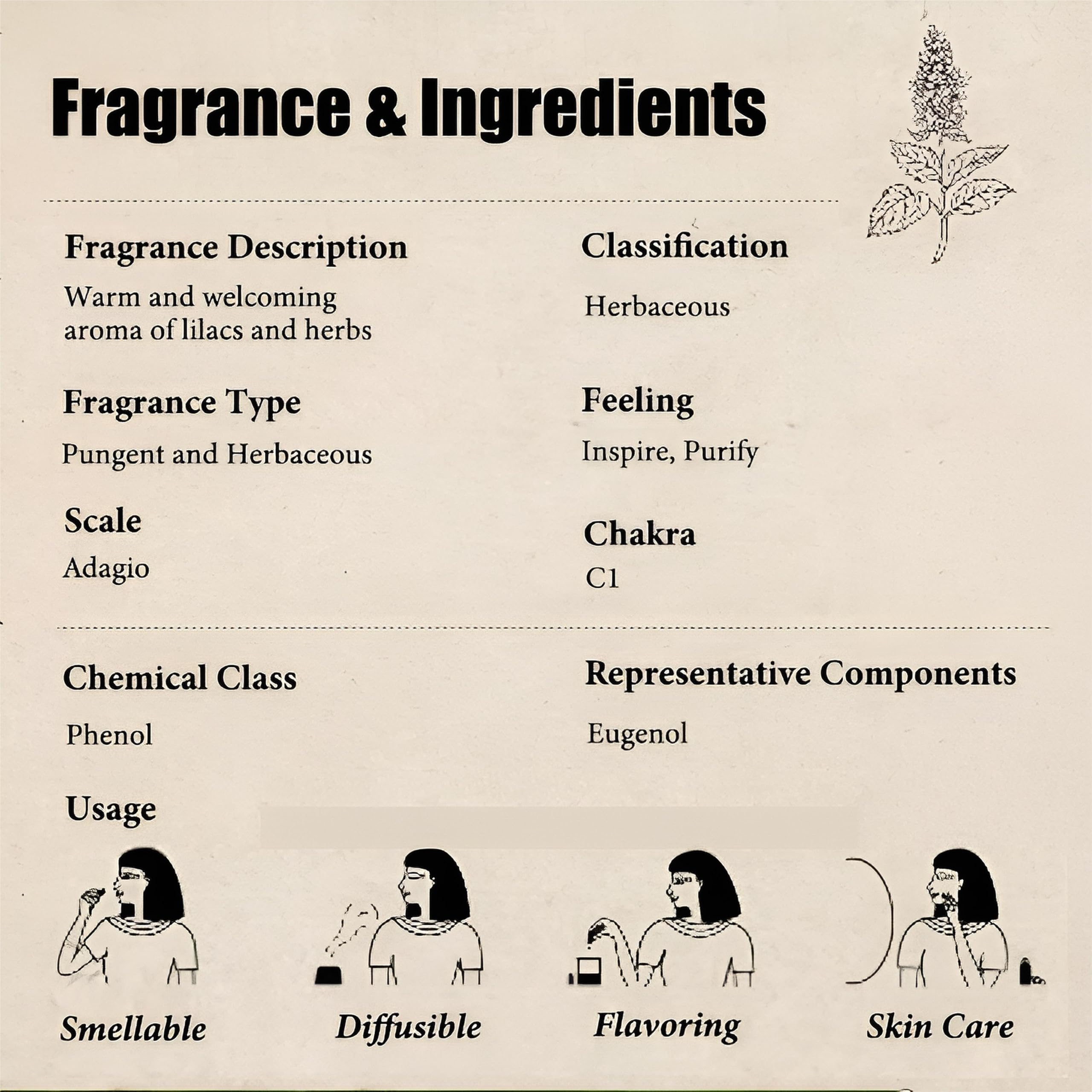 100% reines ätherisches Basilikumöl für Aromatherapie, Diffusoren, Haut- und Haarpflege, Kerzen- und Seifenherstellung, hochwertiges Bio-Basilikumöl, natürliches Duftöl zur Entspannung(500ml)