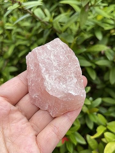 Miniatura 3 de Piedras naturales ásperas de cuarzo rosa grande, cuarzo rosa crudo de 2.5-4 pulgadas, cuarzo rosa, piedra de amor, cristales curativos, 0.25-2 libras