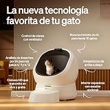 Ver la foto 7