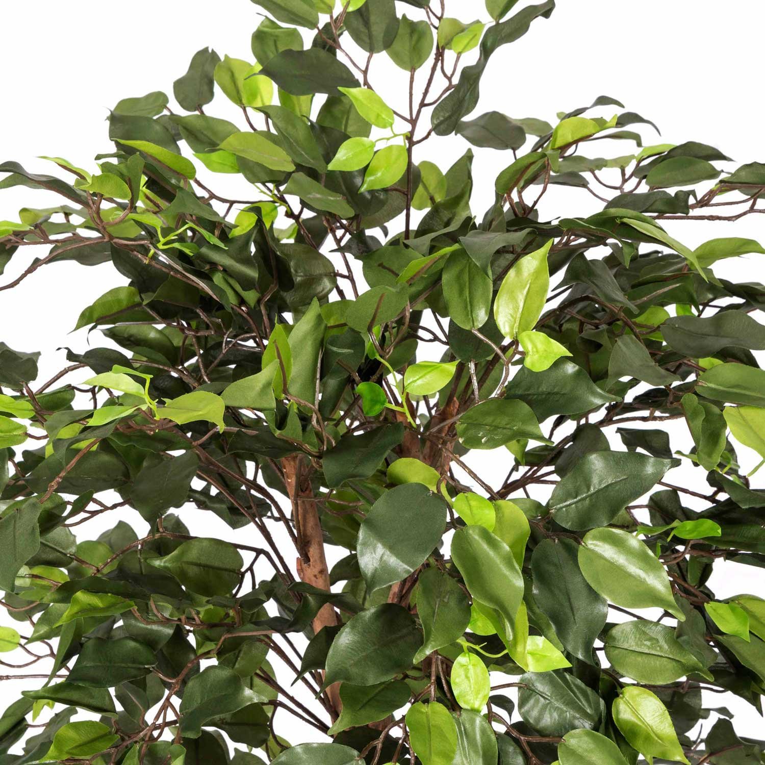 Buy HOMESCAPES 4 Feet Green Ficus Tree With Real Wood Stems and