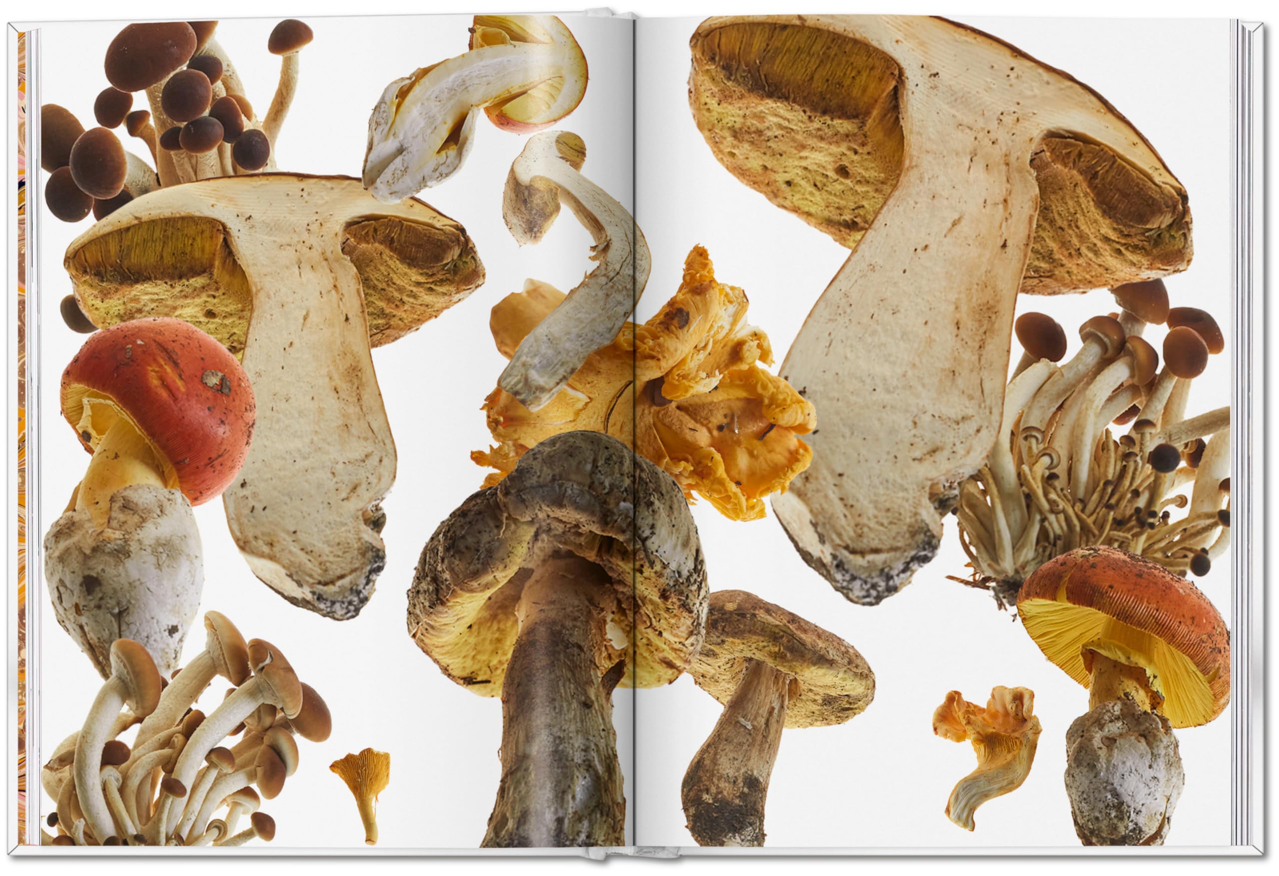 The Gourmand's Mushroom: A Collection of Stories and Recipes