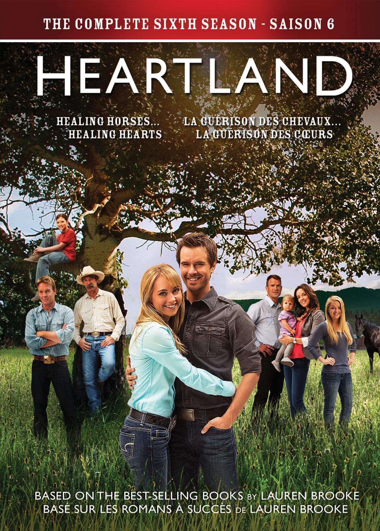Heartland: La Sexta Temporada Completa en DVD para coleccionistas de series