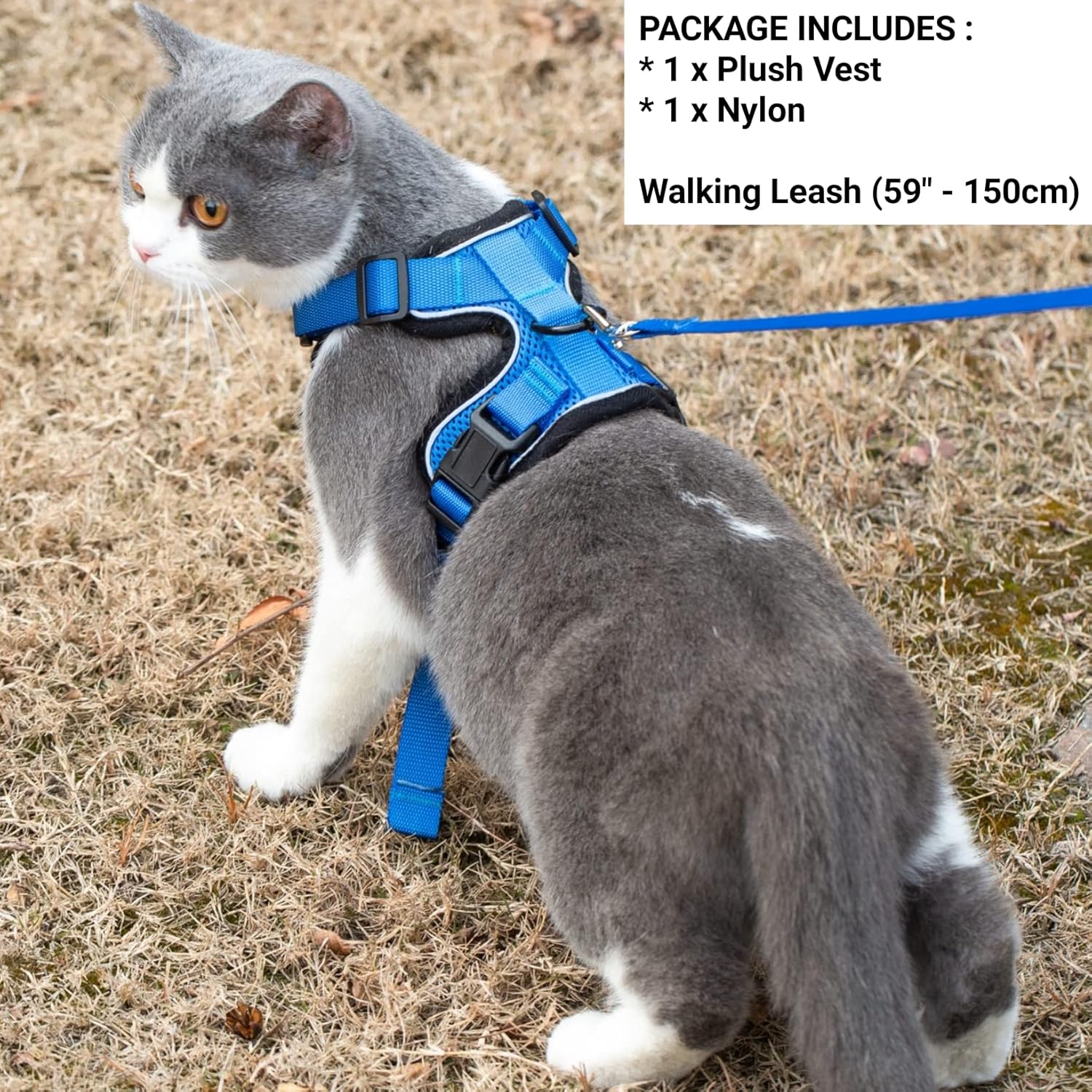 Mr. Peanut's PurrTrek Reflective Cat Harness with Matching Leash (Small, Blue)