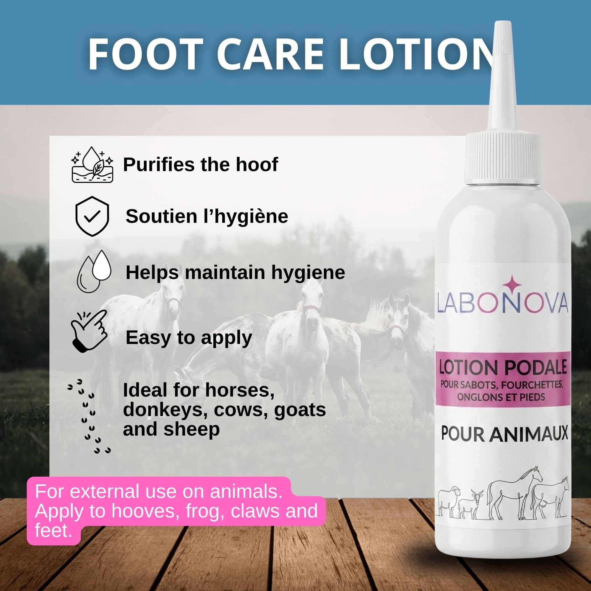 Lozione Podale Zoccoli, forchette e Unghiere con Solfato di Rame & Tea Tree – Cavalli, Asini, Mucche, Capre, Pecore