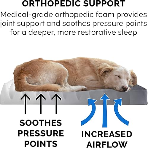 Miniatura 5 de Furhaven Cama ortopédica para perros medianosgrandes de hasta 55 libras, funda extraíble lavable, colchón de felpa y gamuza, gris, grande
