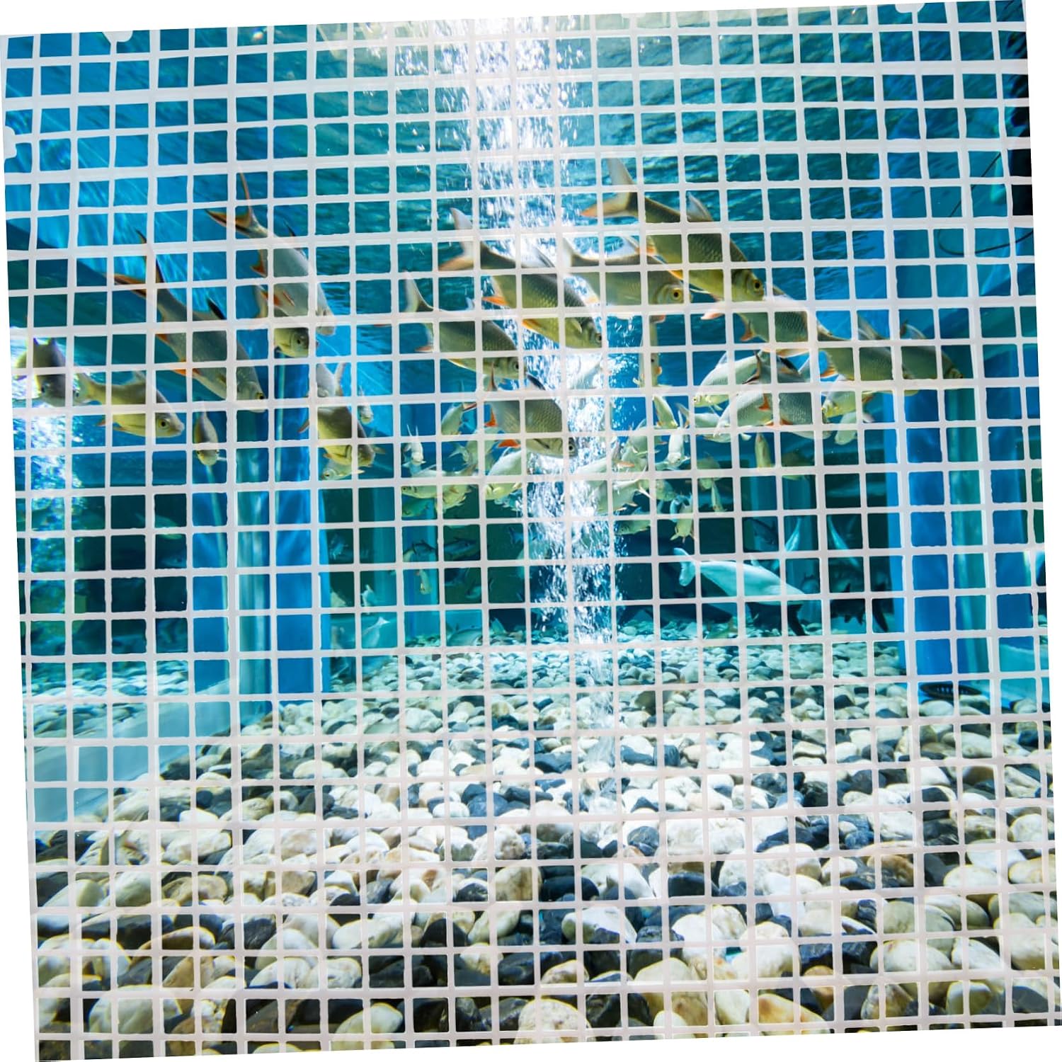 ibasenice 1set Aquarium Isolation Panel Aquarium Dividers Cups for Fish Tank Separation Easy Installation for Mixed Breeding and Fish Safety