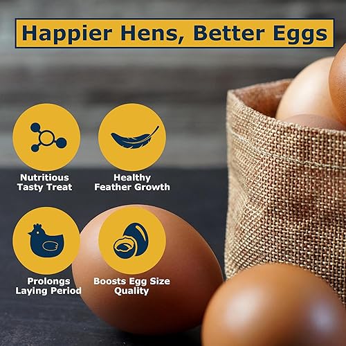 Miniatura 4 de Alimento para pollo rico en nutrientes larvas secas de mosca soldado negro de 1 libra, 100% natural, 85 veces más calcio que los gusanos de la