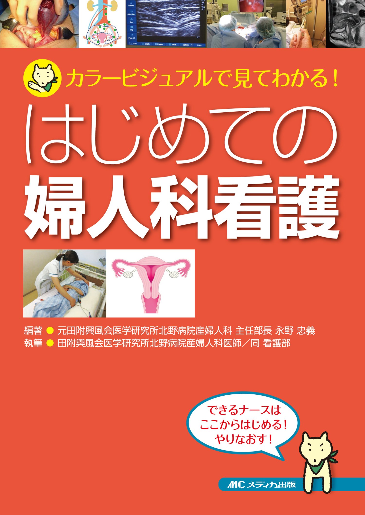 看護科 産婦人科 教科書 8170PQwPiTL.jpg