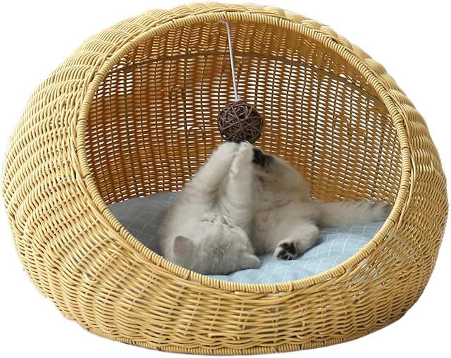 Amazon.co.uk wicker cat basket