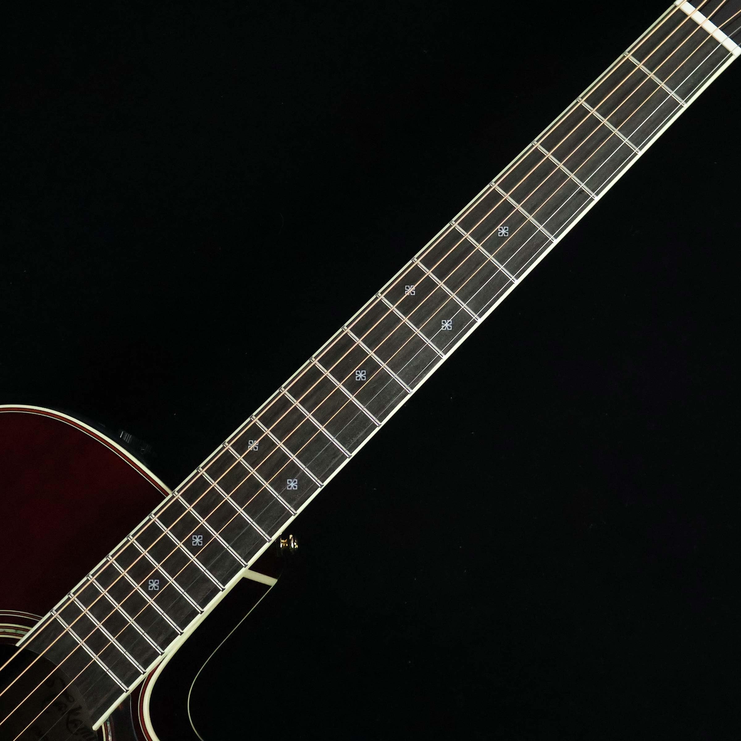 Amazon | Takamine DMP50S WR エレアコギター 島村楽器 x Takamine