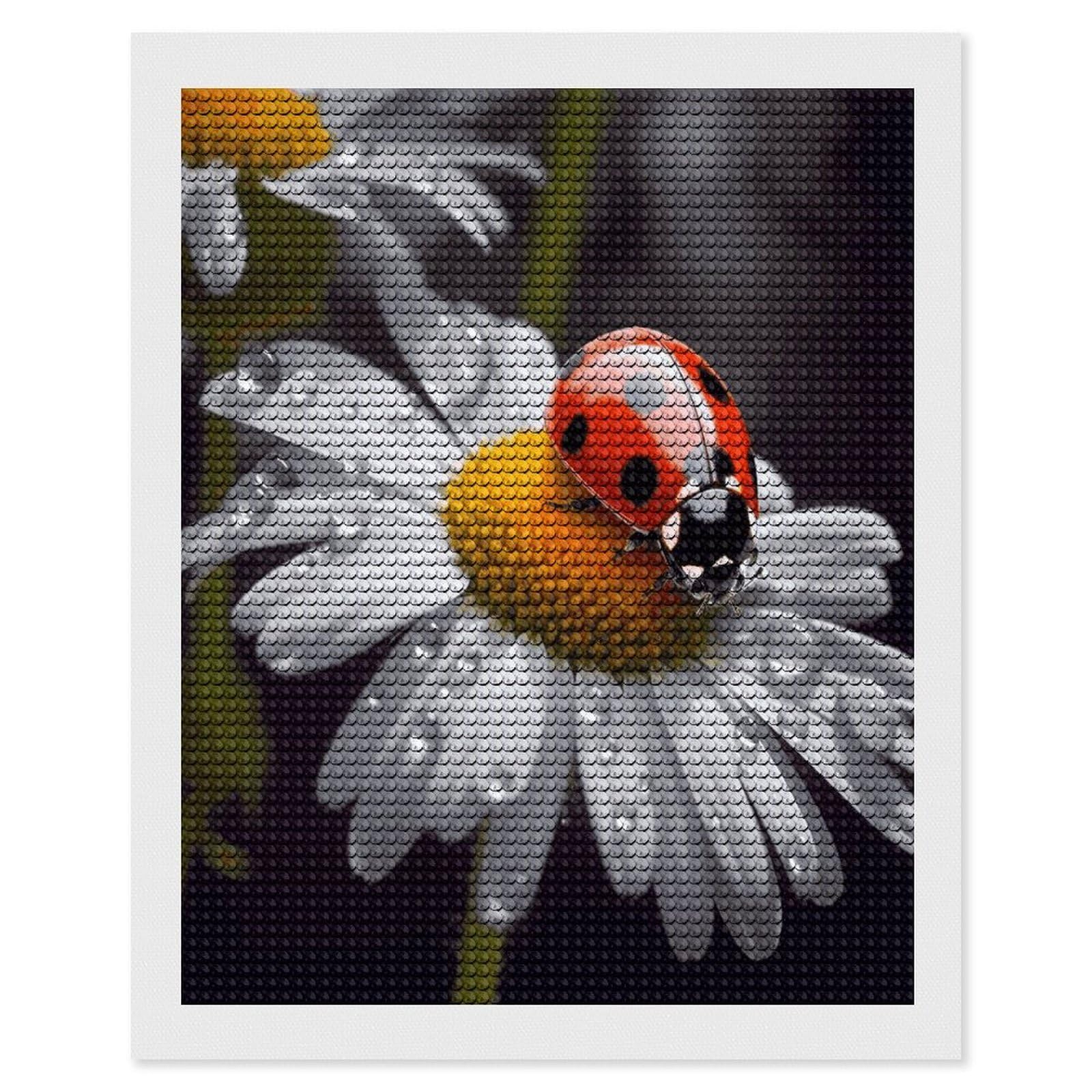VstaDank Ladybug on Daisy Flower Diamond Painting Kits Exquisite DIY Full Round Drill Diamond Dots Painting for Adults Beginner Diamond Photo Paint with Diamond Picture Art Wall Decor 16"x20"