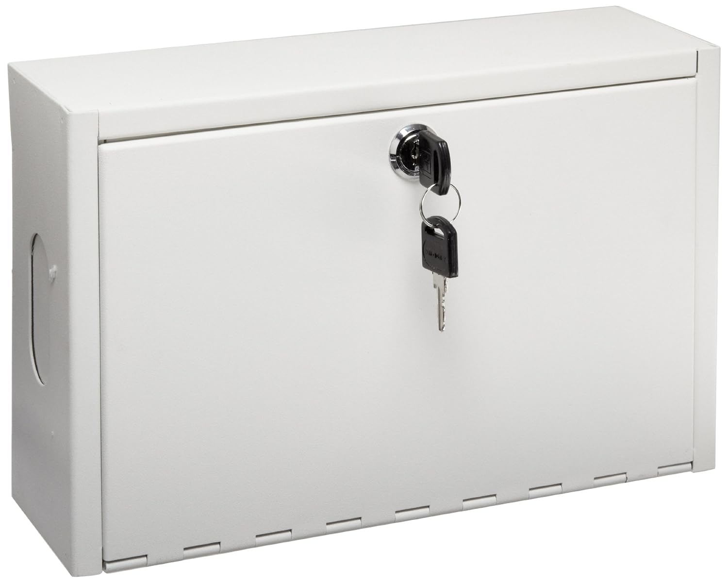 Morris Products 87100 Home Network Enclosure, Hinged Door, Small