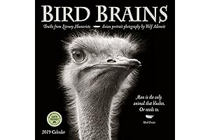 Wolf Calendar 2019: Wolves in Nature Wildlife Photography