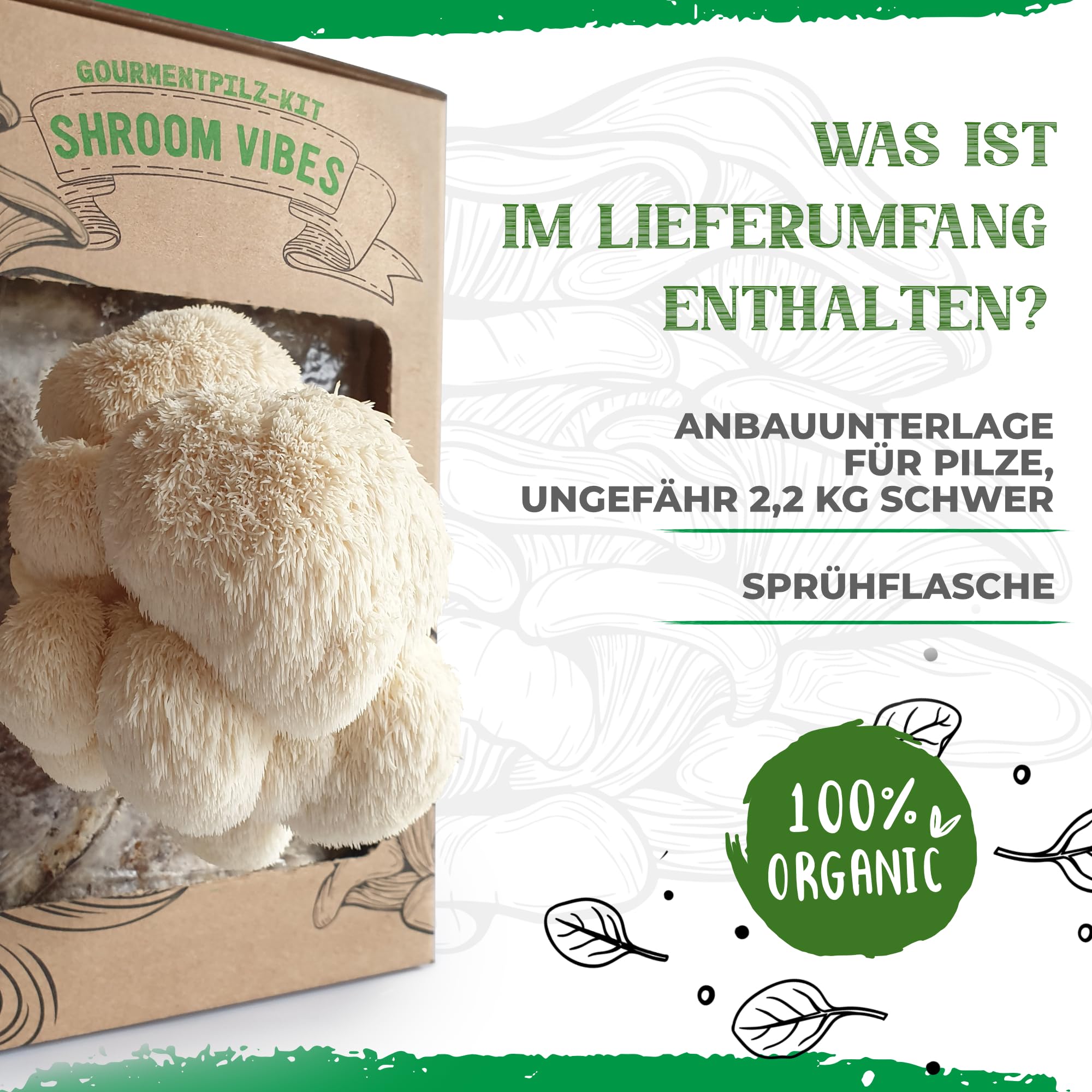 BIO Kit d'élevage de champignons | Champignons Grifola (Hericium erinaceus) un jeu d'enfant à cultiver | Kit de culture de champignons pour la maison | Kit complet de culture de champignons de qualité