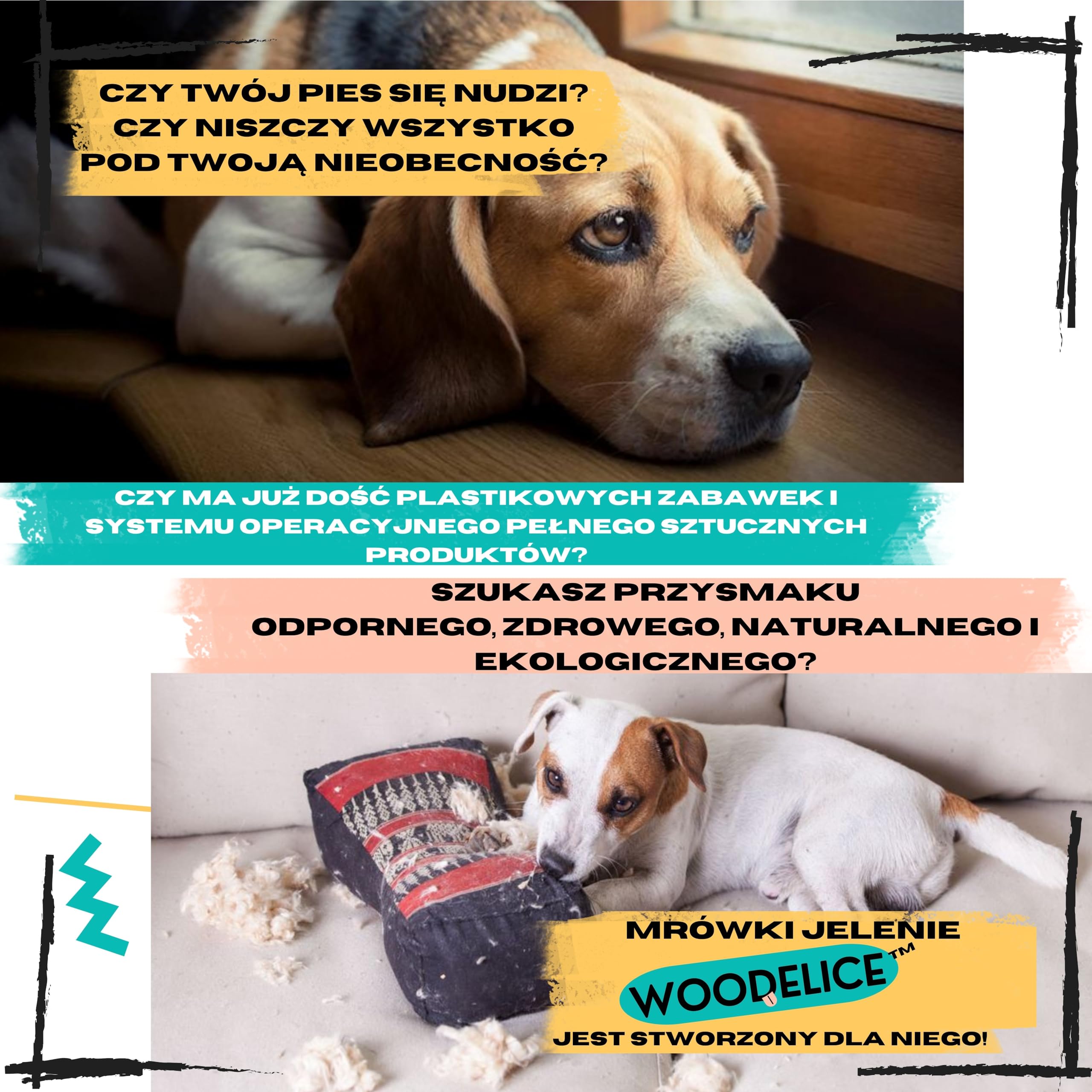 Poroże jelenia dla psa, Rozmiar XS Psy Miniaturowe i Szczenięta, 2 szt | Usuwa kamień nazębny, Źródło minerałów, 100% Naturalny gryzak, Ultra wytrzymały, Bez konserwantów