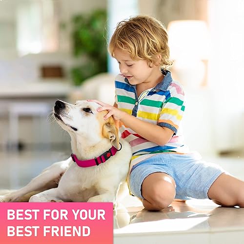 Miniatura 9 de Collar ajustable para perro con hebilla de bloqueo de seguridad, fabricado en Estados Unidos, collar de perro resistente al agua con panal para