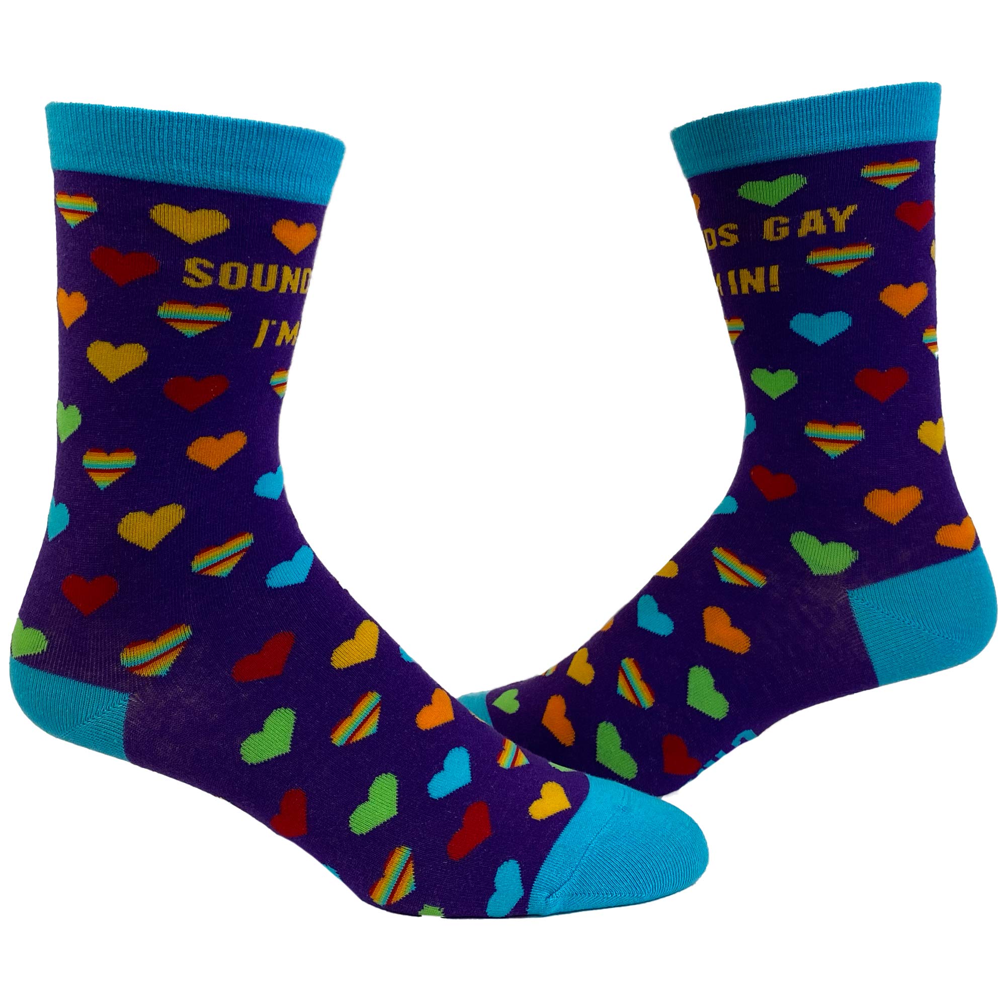 Crazy Dog T-ShirtsSounds Gay I'm In Socks Funny LGBTQ Pride Parade Graphic Novelty Footwear