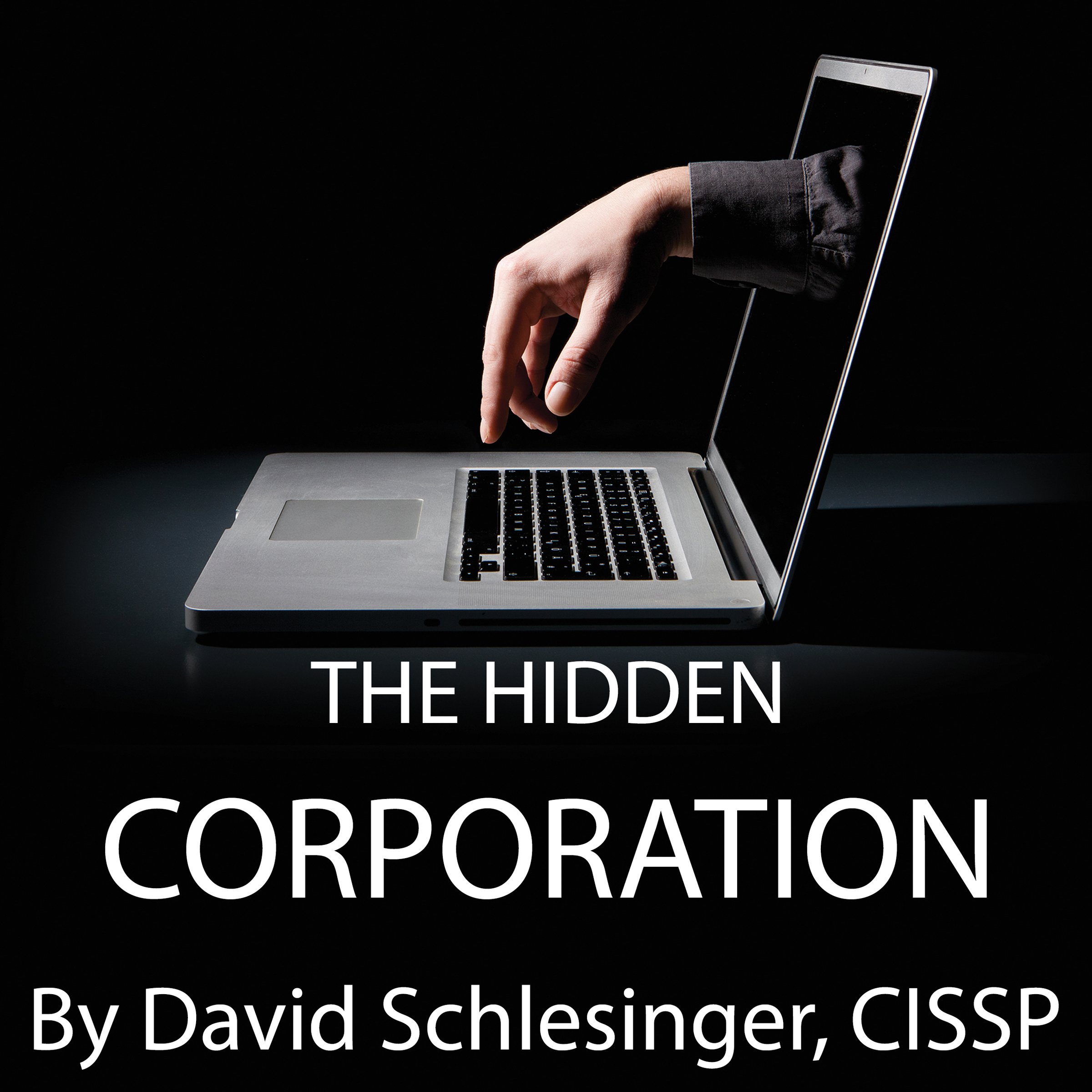 Cover art for The Hidden Corporation