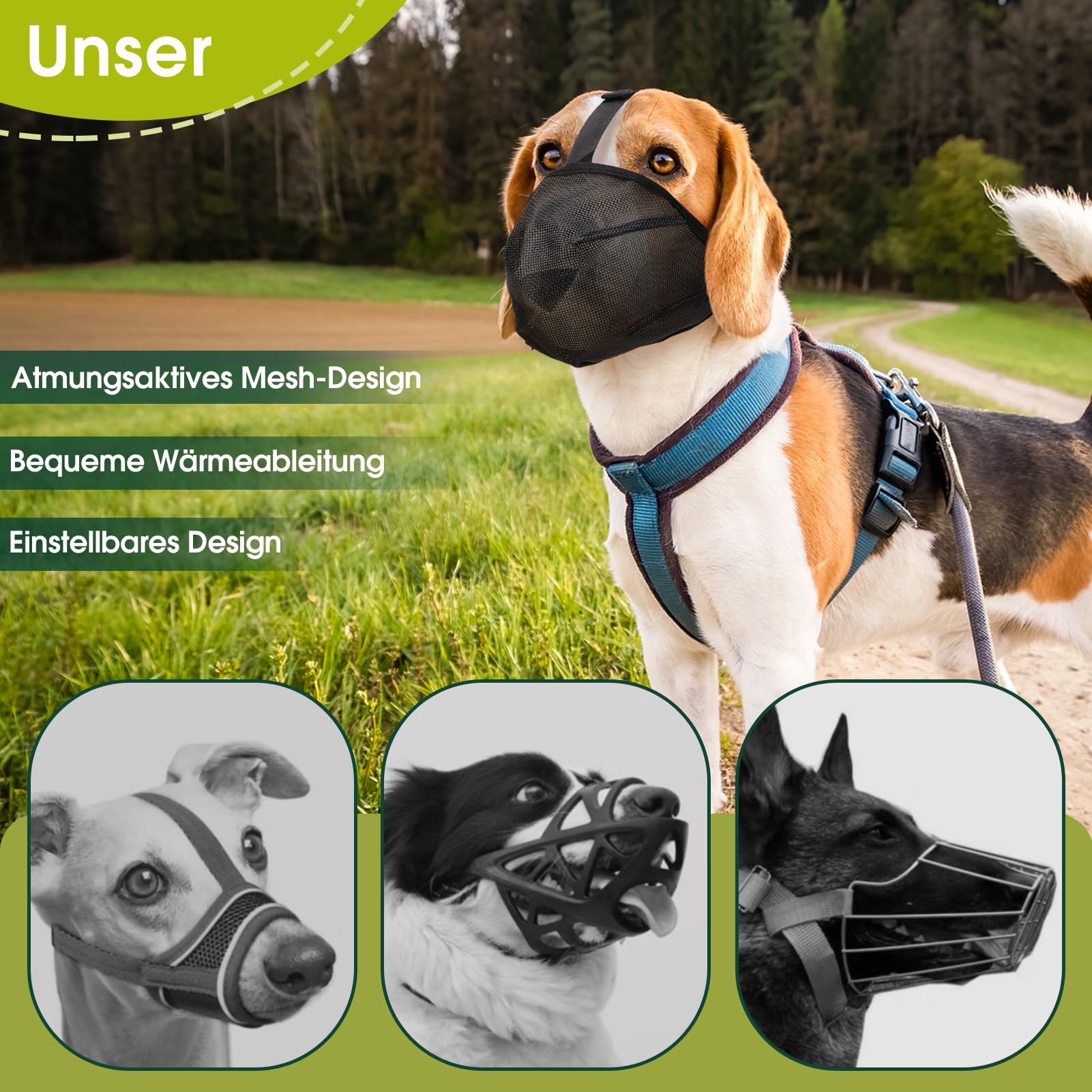 Morsa per Cani Medi, Traspirante, Regolabile con Design Mesh – Protezione da Cibo Tossico, per Passeggiate, Addestramento, Veterinario (L)