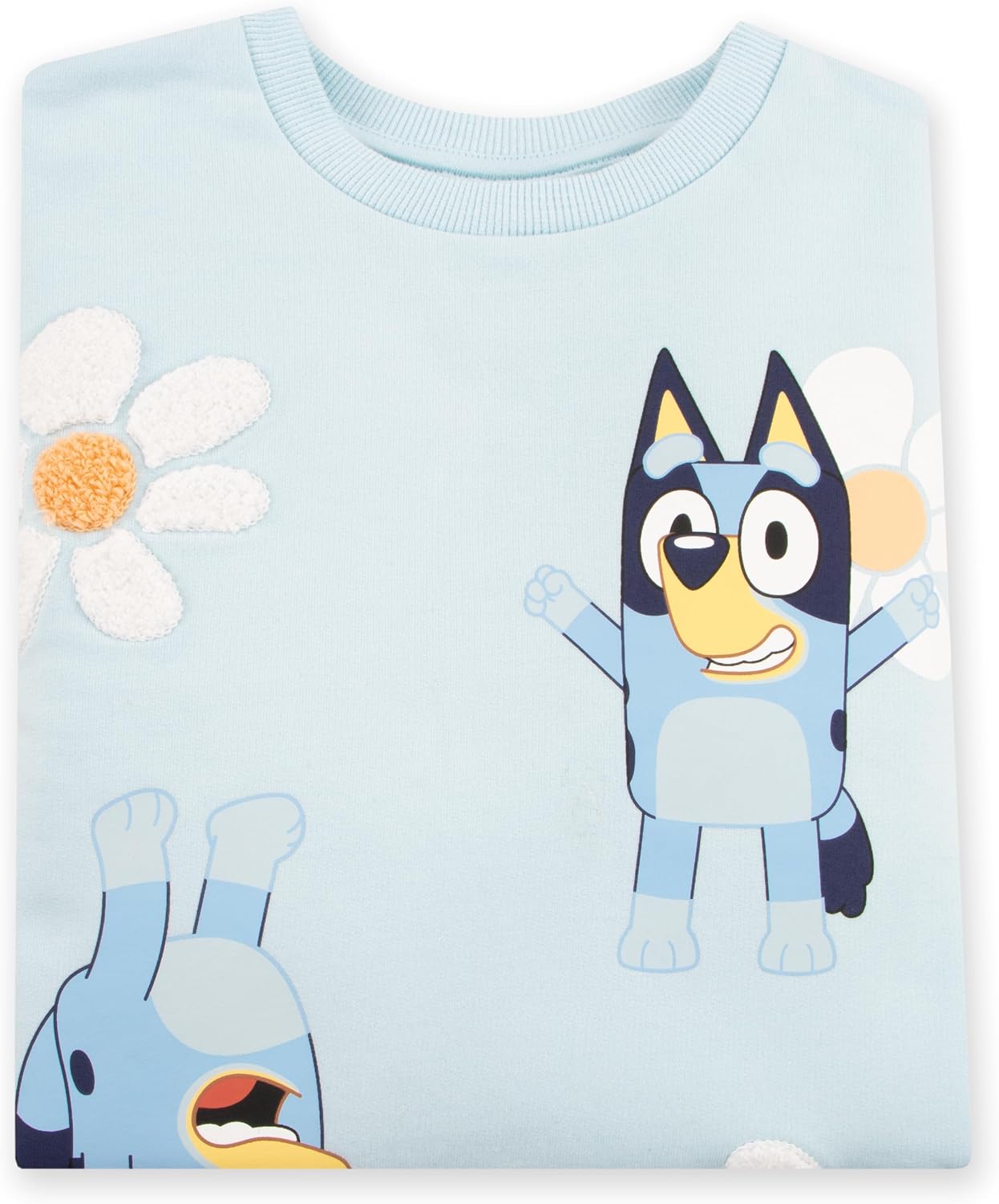 Bluey Sweater | Cotton Girls Sweatshirt | Flower Sweater |Girls Pullover