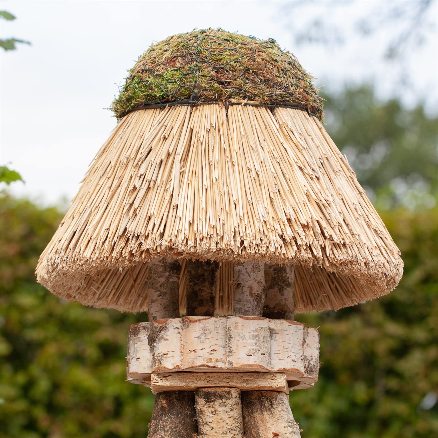 VOSS.garden Vogelhäuschen Amrum mit Reetdach, Naturbelassene Birke 23cm große Futterplatte, Vogelhaus Futterstation Naturbelassene Vogelfutterstation
