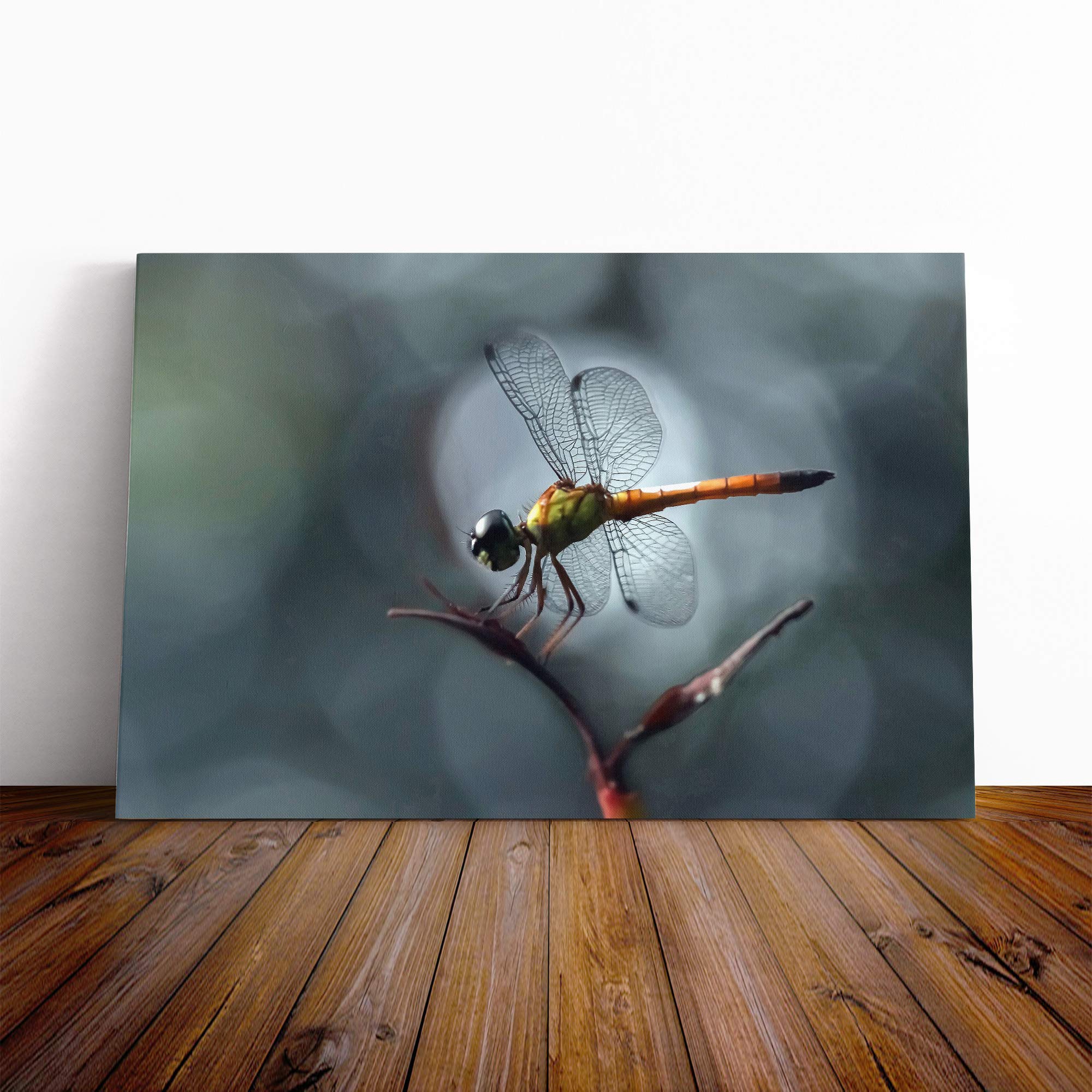 Macro Dragonfly Canvas Print | Gallery Wrapped 30mm Frame Wall Art | 30x20 inches | Ready to Hang | Modern Animals Picture | Living Room Bedroom Lounge Office