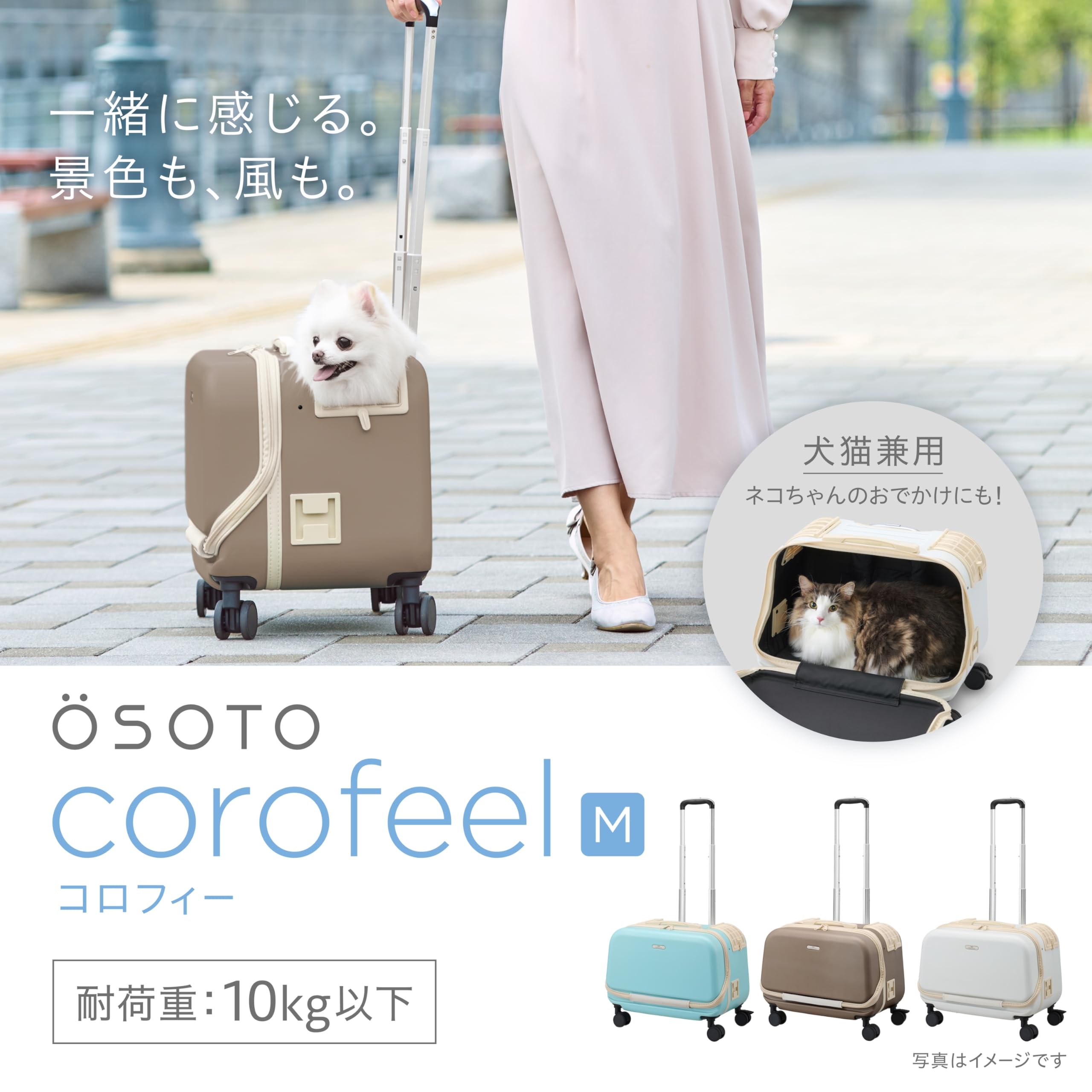Amazon | ジェックス OSOTO コロフィー M モカ 軽量 飛び出し防止