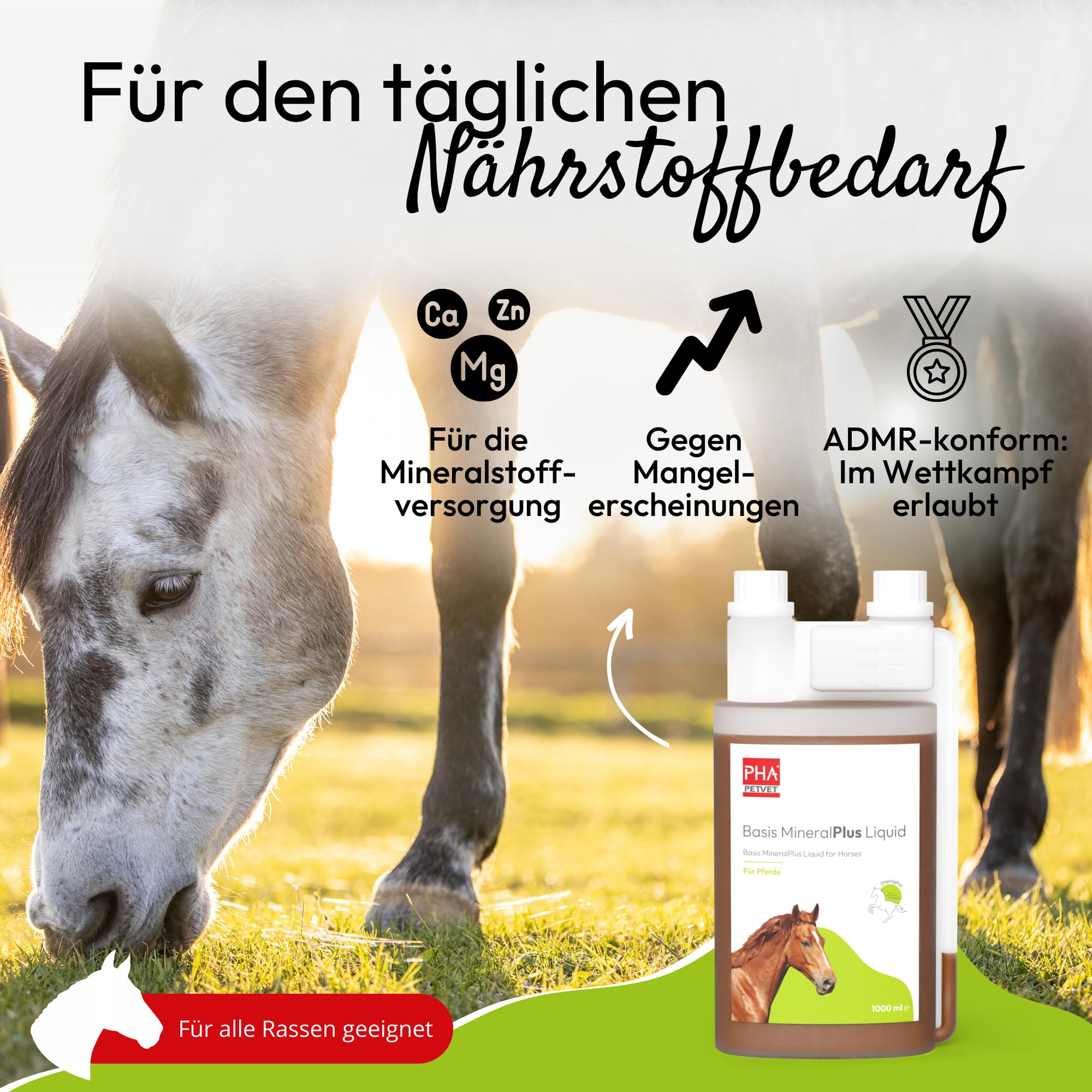 PHA Basis MineralPlus Liquido per Cavalli, vitamine e minerali preziosi per Zoccoli, Muscoli e Sistema immunitario, per Le Esigenze quotidiane di nutrienti, 1 l