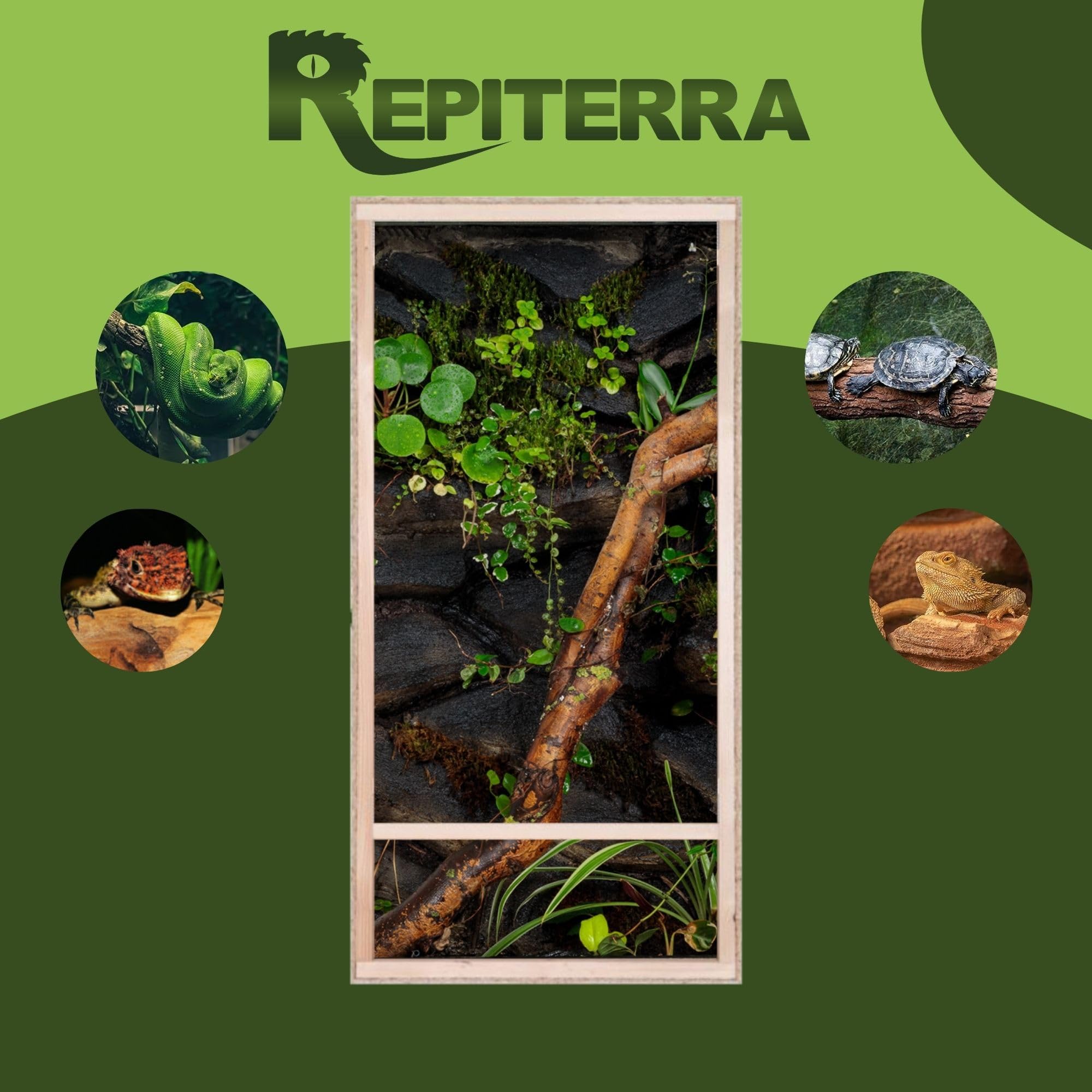 Exo Terra Paludarium Terrarium - Voor reptielen & amfibieën - 30x30x60 cm