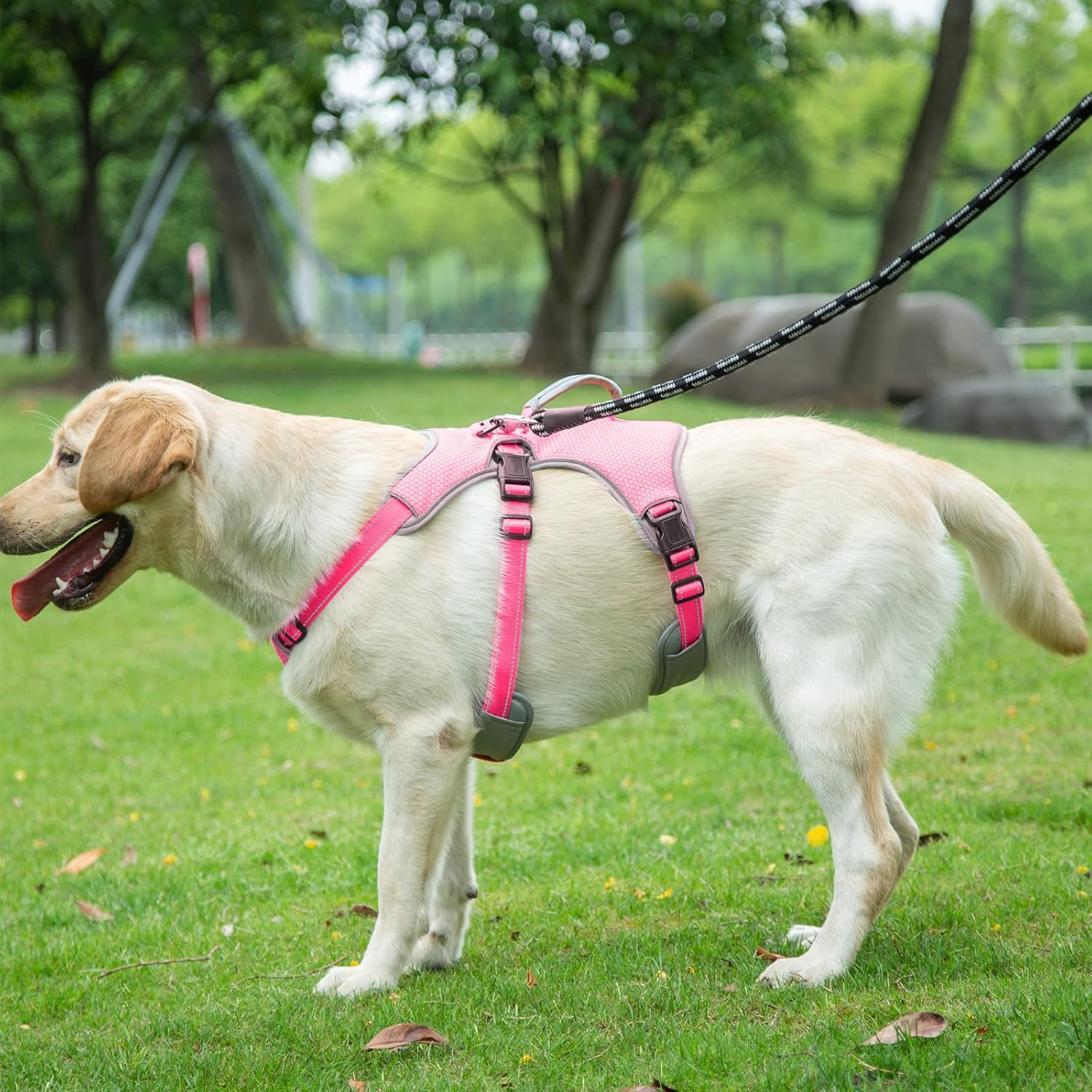 BELPRO MultiUse Support Dog Harness, Escape Proof No Pull Reflective