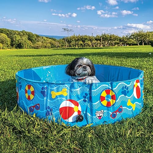 BigMouth Inc. Piscina para perros con borde duro, no necesita inflado, fácil de plegar, se adapta a mascotas pequeñas a medianas, patrones y