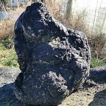 Amazon.co.jp: 浅間溶岩石166キロ庭石鑑賞石石盆石水石灯籠庭坪庭盆栽