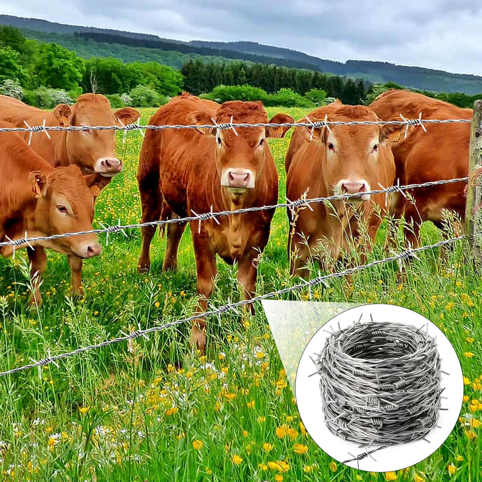 Mbsomnus Drut kolczasty 1,8 mm x 9 m, rolka z drutu kolczastego, ocynkowana ogniowo, z rękawiczkami, kolce, na pastwisko, ogrodzenie, ogrody, balkon, podwórko, ściany, DIY, rękodzieło, kij baseballowy