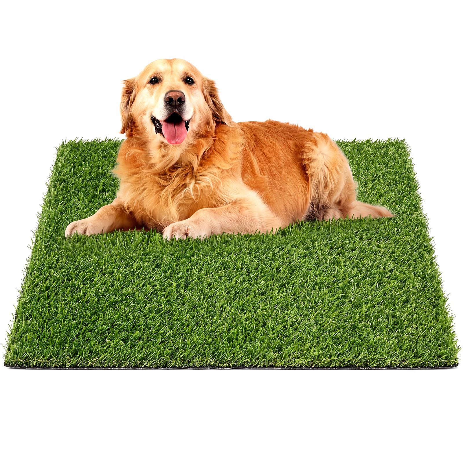 Photo 1 of Ondware Dog Potty Pad 39.3x31.5 Inch Green
