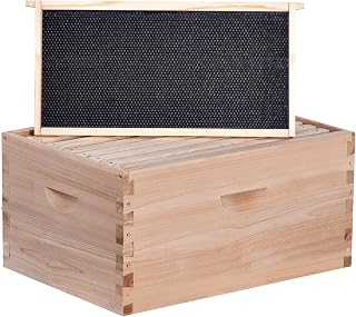 BeeCastle 8 Frame Deep Brood Bee Hive Box, Langstroth Honey Bee Hive Include Beehive Frames and Waxed Foundations (Unassembled)