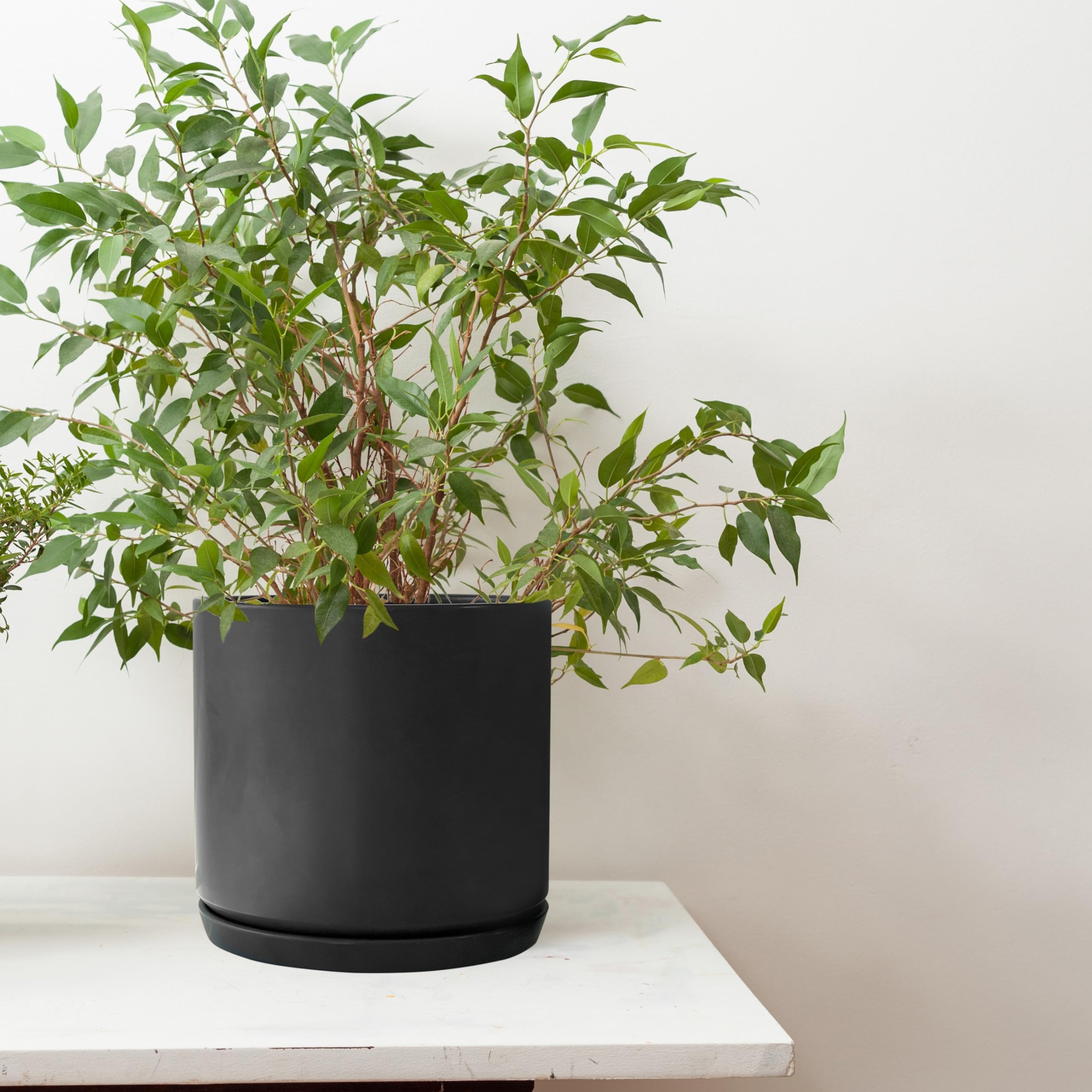 H73cm, Grote Lotus Plantenbak (Steen samenstelling) - Zwart € 249,99