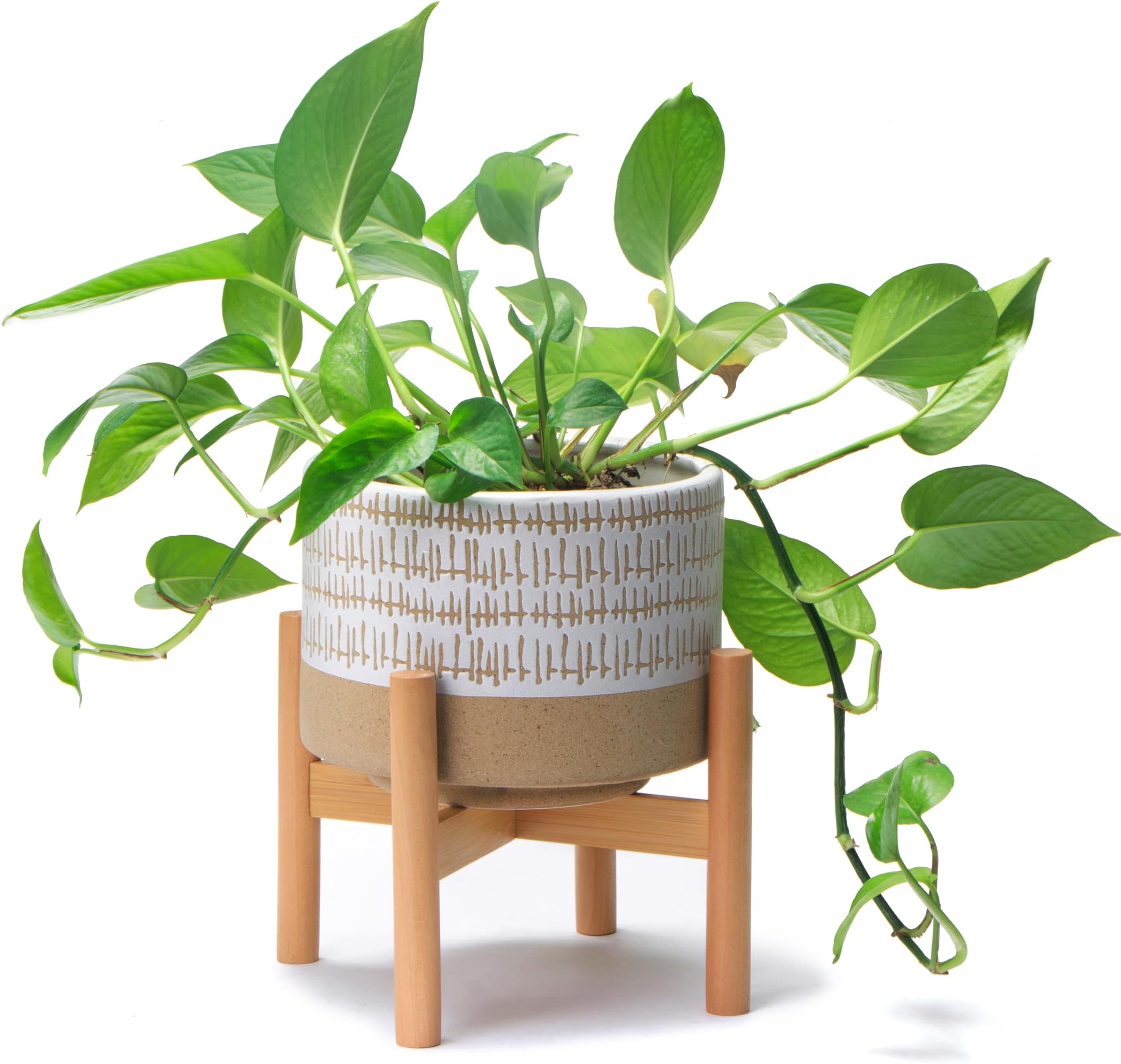 Kurrajong Farmhouse Ceramic Planter Pot with Wood Stand for Indoors (Caramel and White)