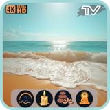 ASMRビーチサウンド：海岸のリラクゼーションと心地よい波の雰囲気で眠りにつくTV