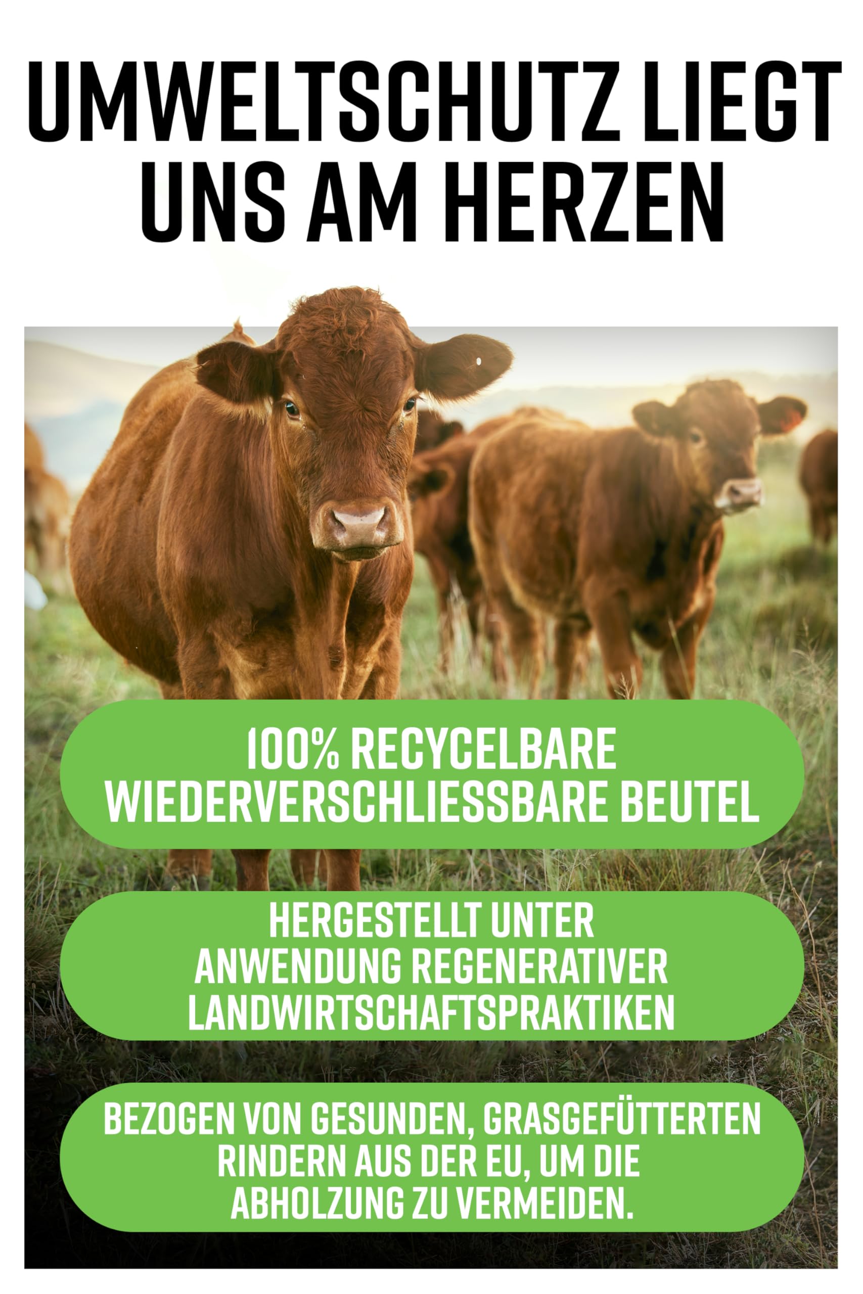 Kollagen Pulver 2 x 400g - Rinderkollagen Hydrolysat Peptide Typ 1 und 3 – Perfekte Löslichkeit, geschmacksneutral, ohne Füllstoffe - Für gesunde Haare, Haut, Nägel und Muskeln