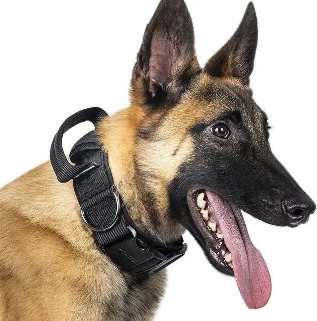 Breites Hunde Halsband mit Metallschnalle - XL Schwarz für optimalen Tragekomfort