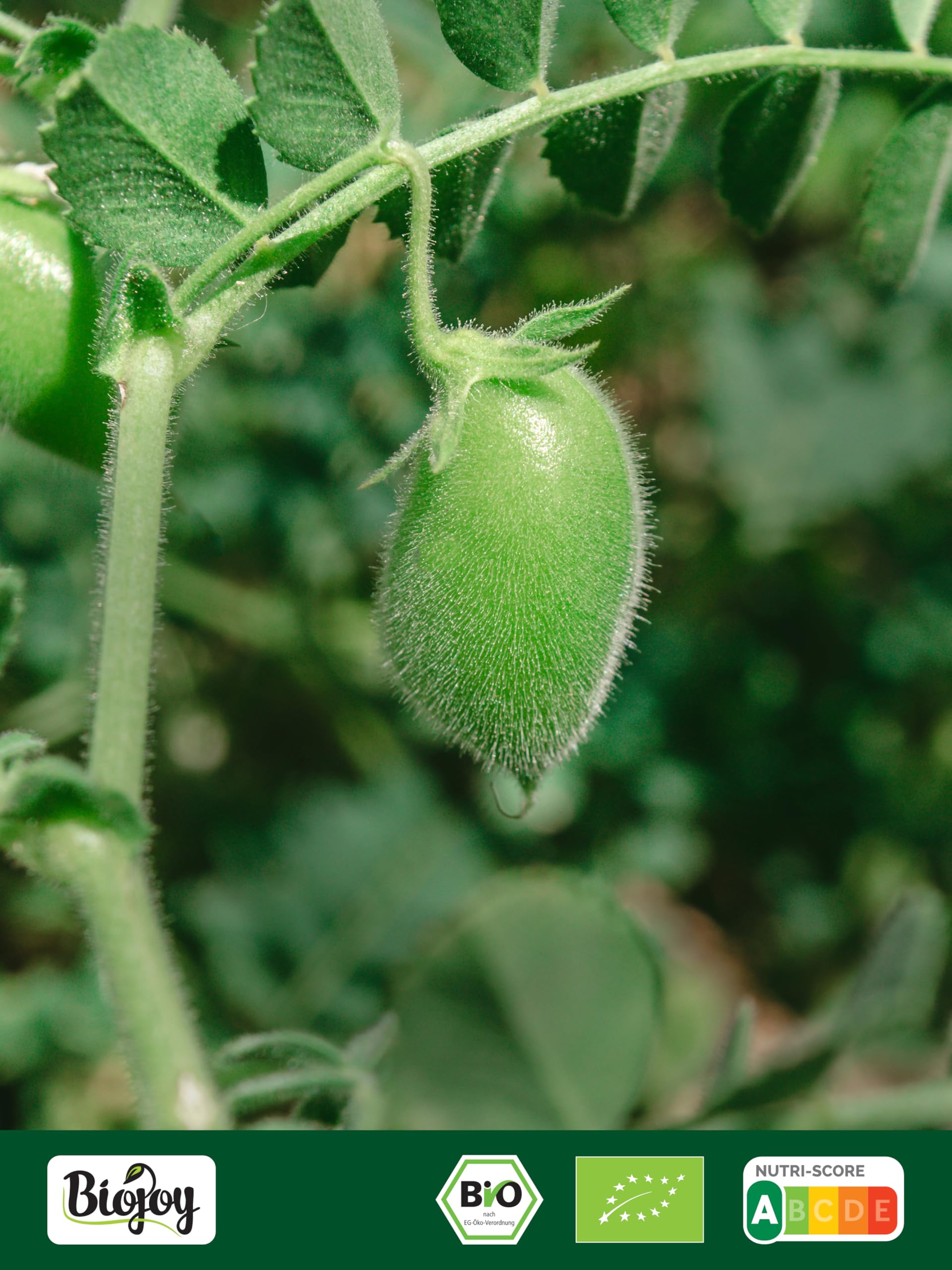 Biojoy Lentejas verdes Laird (2,5 kg), crudas y enteras, sin aditivos