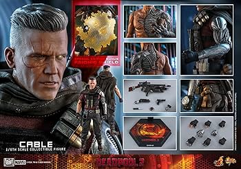 8171cjwWSQL._AC_UF350,