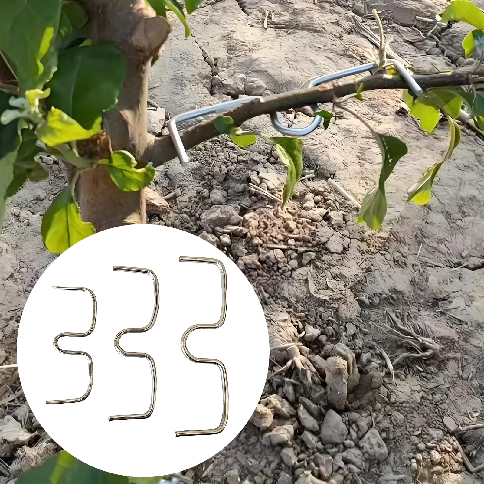 VEGCOO 38 Stück Astspreizer,Astspreizer Für Obstbäume,Zweigspreize Für Gartenbäume,Geeignet Für Apfel,Birnen,Pfirsich,Pflaumen Und Kirschbäume (M8-10 Stück,M10-12 Stück,M13-16 Stück)