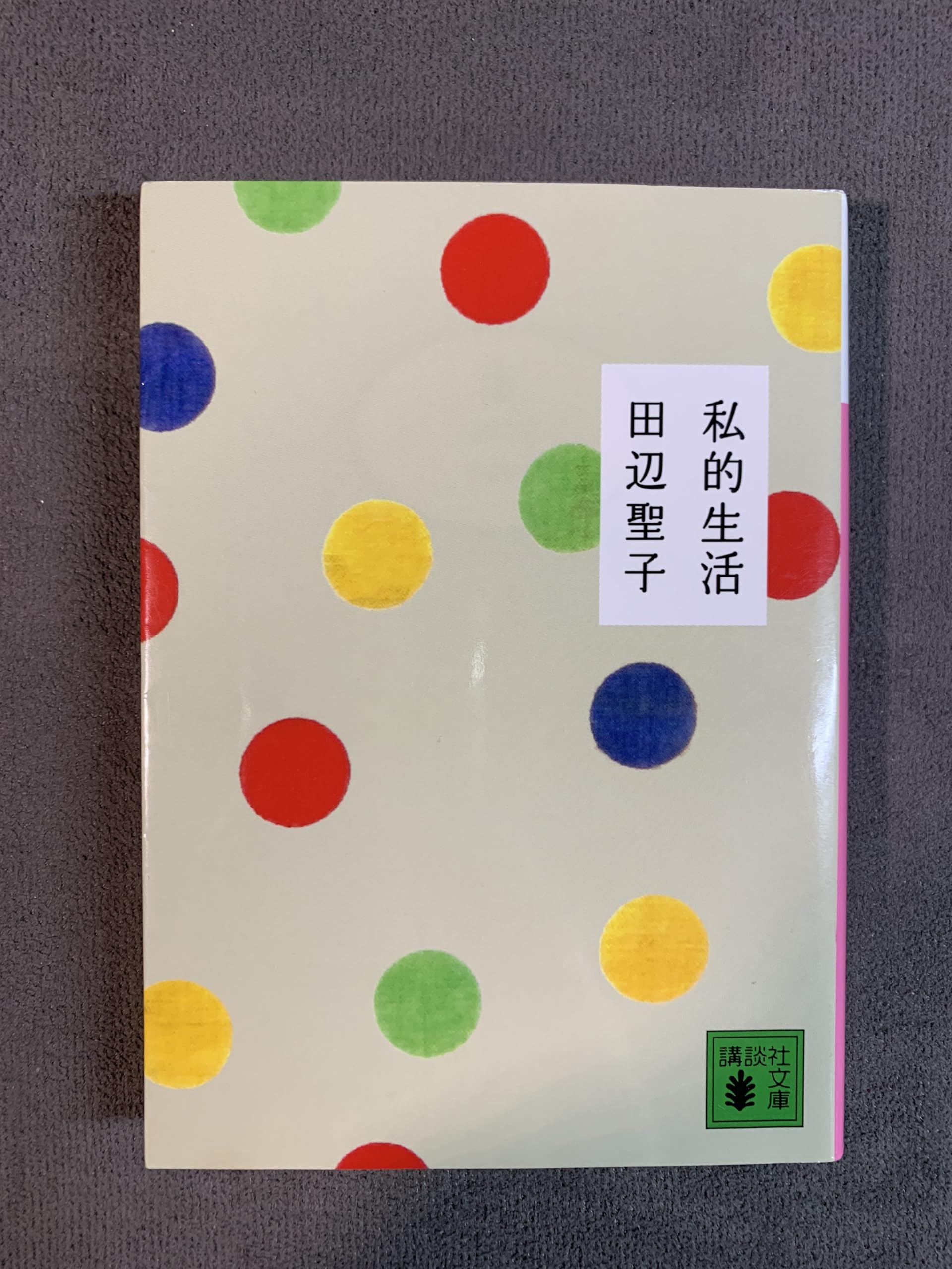 Amazon.co.jp: 私的生活 (講談社文庫 た 2-45) : 田辺 聖子: 本