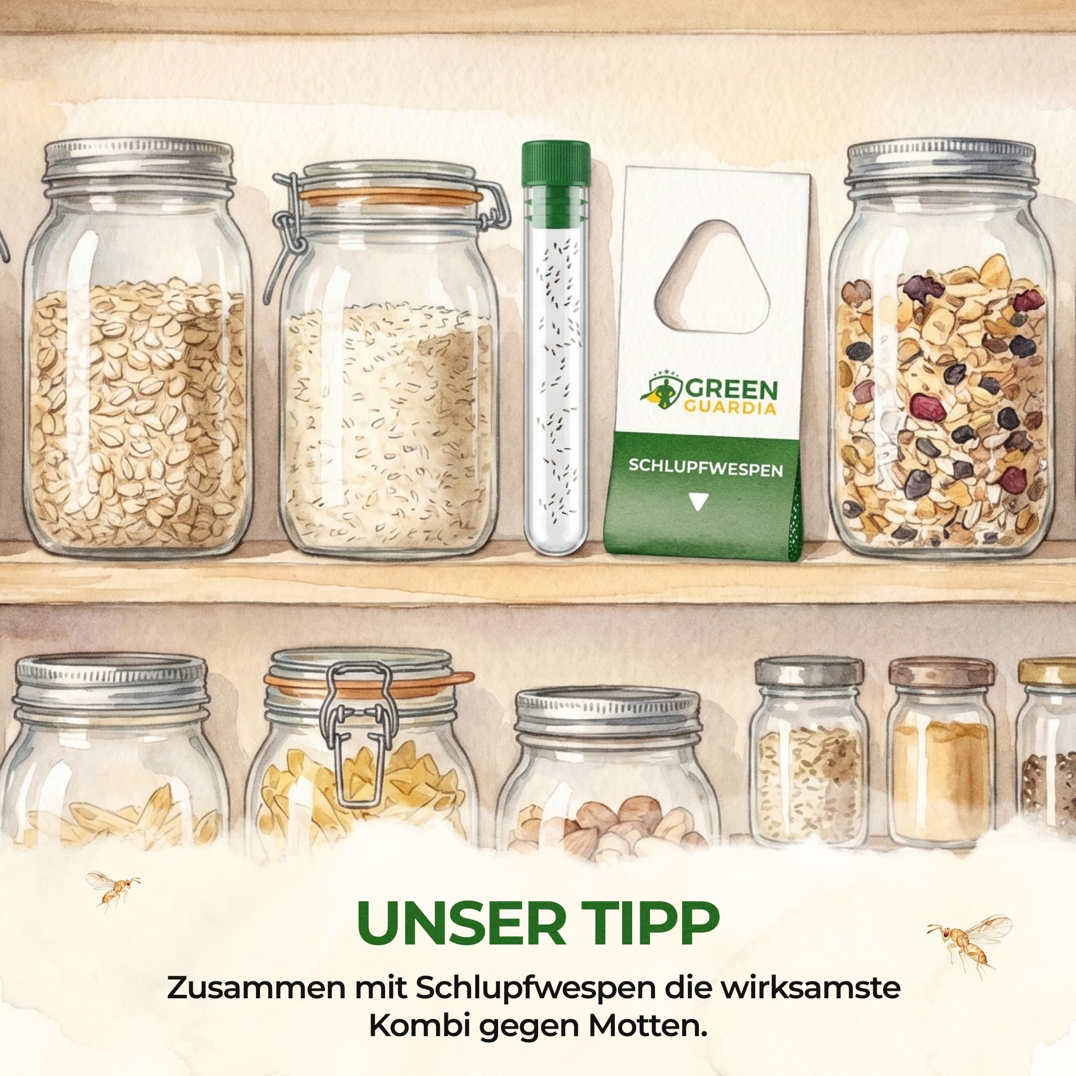 GREEN GUARDIA Brackwespen gegen Lebensmittelmotten - 1x Röhrchen à 40 Nützlinge - Brackis, Habrobracon hebetor, Turbo-Booster zur Mottenbekämpfung