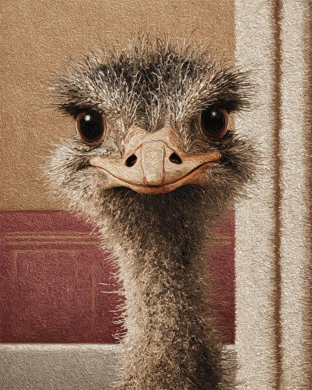 Henypt DIY Latch Hook Rug Kit Cartoon Ostrich 90x120cm