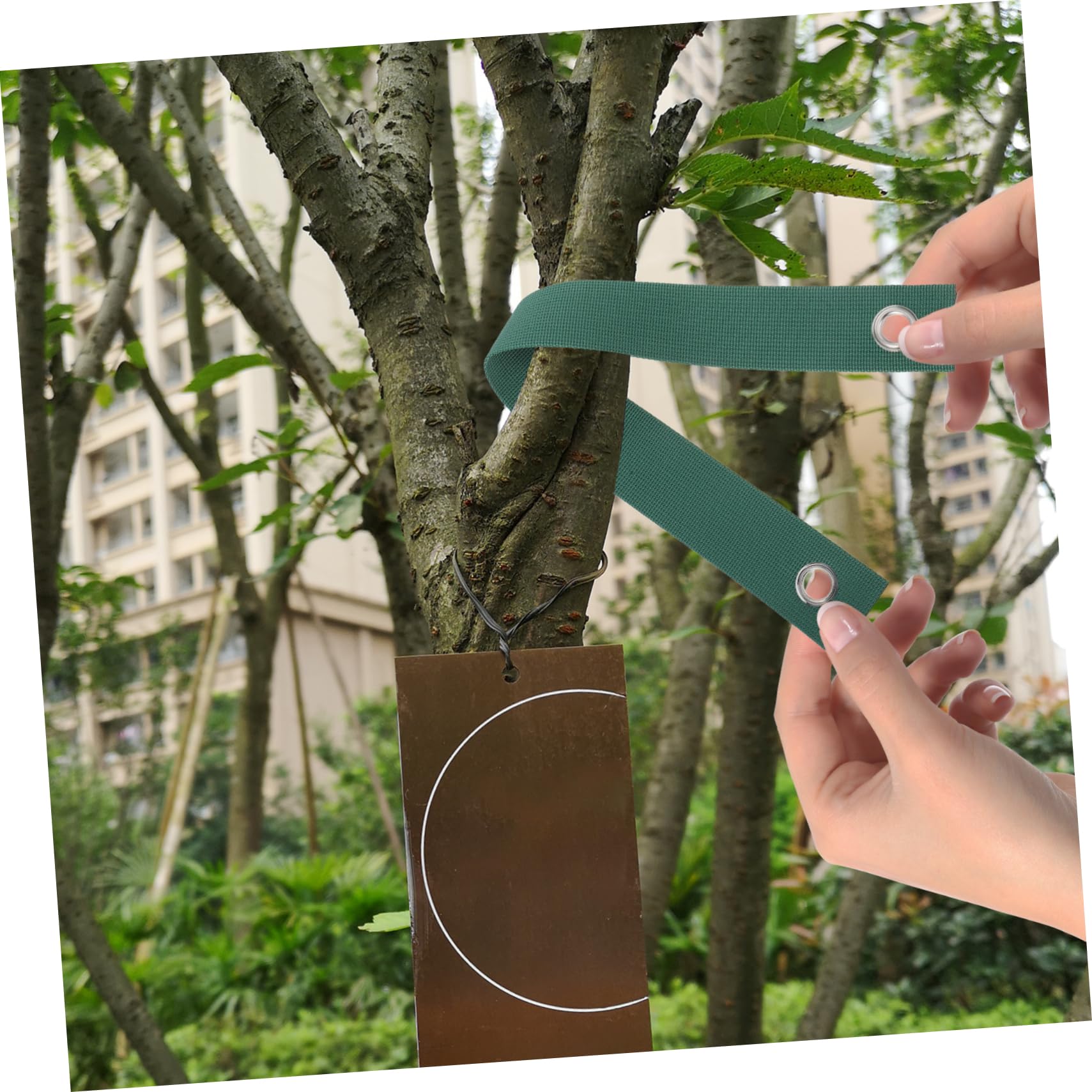 VICASKY Kit D'ancrages D'arbres Étai d'arbre pour Jardin Extérieur Complet Comprenant 3 Attaches Piquets 3 Tuteurs en Fer et 3 Câbles de Soutien