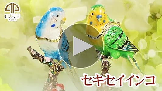 ピィアース　ジュエリーボックス　セキセイインコ　2個セット ピィアース ジュエリーボックス セキセイインコ 2個セット