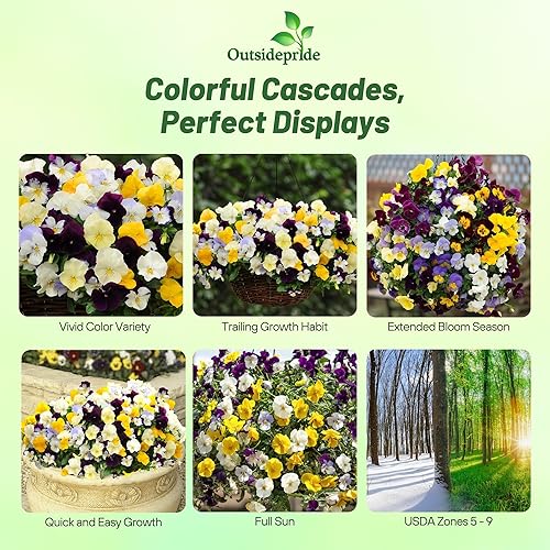 Miniatura 2 de Outsidepride 30 semillas Viola Pansy Cool Wave Mix Spreading, semillas de flores para plantar