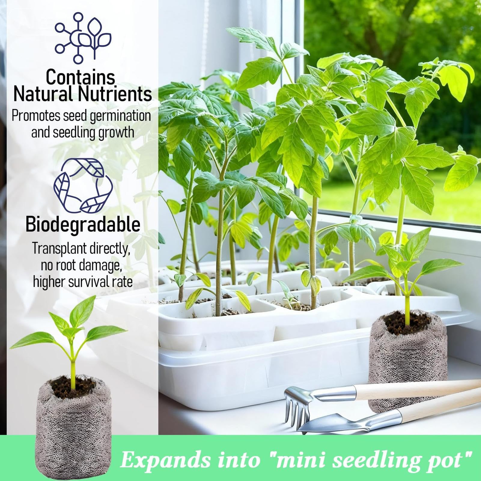 Tierra Vegetal | 100 Unidades Abono Orgánico,30 mm Sustrato Orgánico de Turba para Plantas de Interior | para Exterior, Hortalizas, Flores, Árboles, Cactus, Orquídeas, Bonsái, Monstera